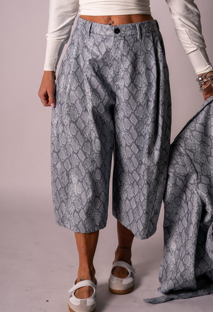 BERMUDA PYTHON PAZZESCO!