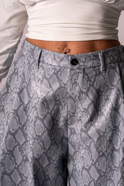 BERMUDA PYTHON PAZZESCO!